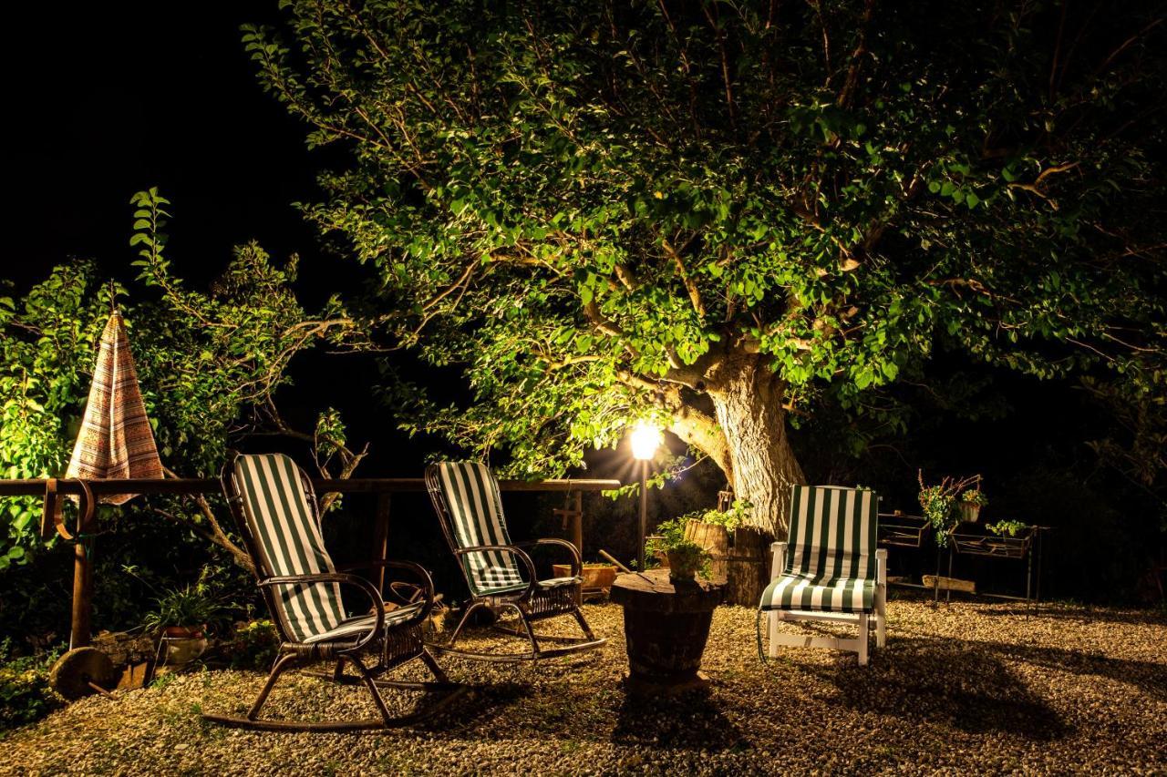Bed and Breakfast Casale San Martino Laureana Cilento Zewnętrze zdjęcie