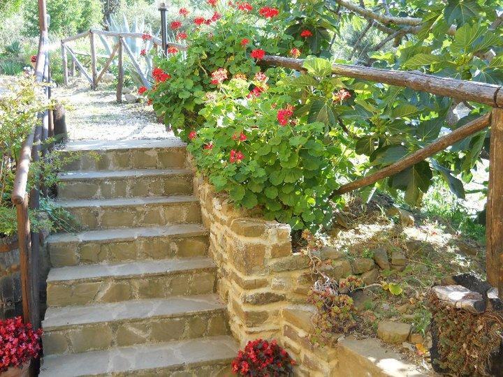 Bed and Breakfast Casale San Martino Laureana Cilento Zewnętrze zdjęcie