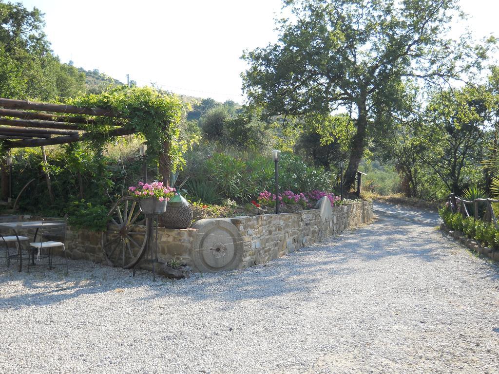 Bed and Breakfast Casale San Martino Laureana Cilento Zewnętrze zdjęcie