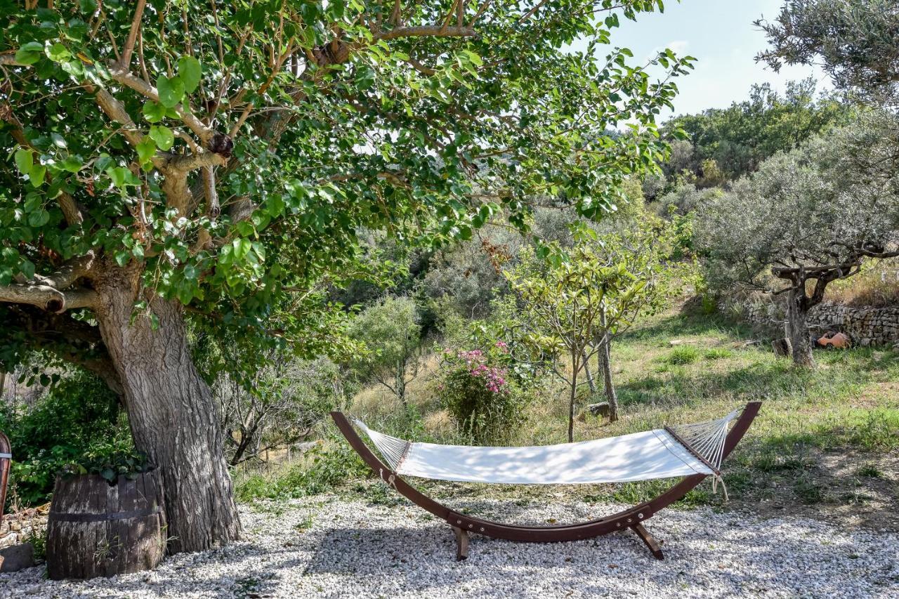 Bed and Breakfast Casale San Martino Laureana Cilento Zewnętrze zdjęcie